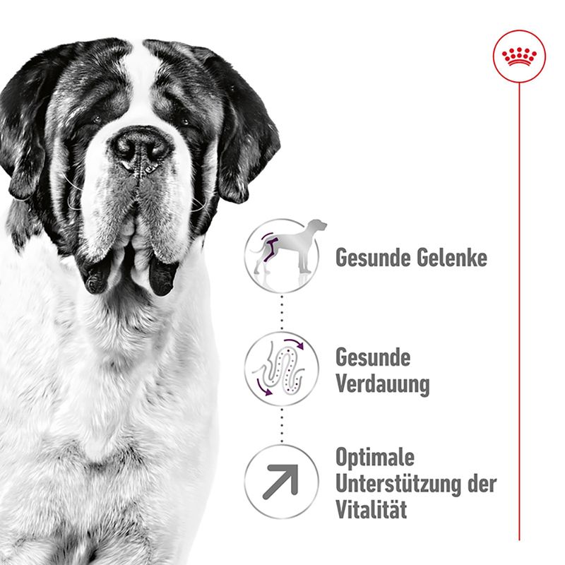 Royal Canin Giant Adult