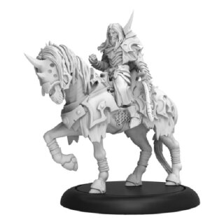 Infernal - Valin Hauke The Fallen Knight Cavalry Solo (metal/resin)