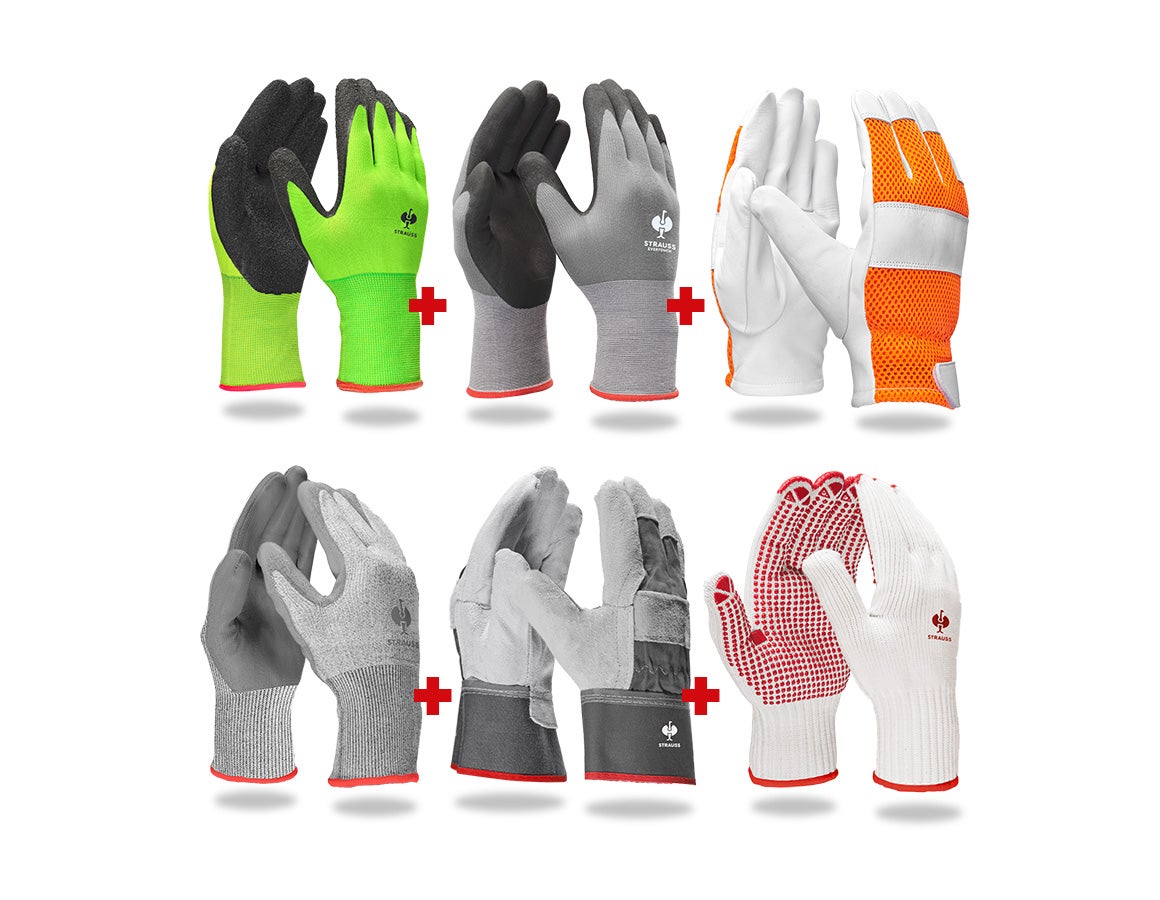 Handschuh-Profi-Set Dach und Holz