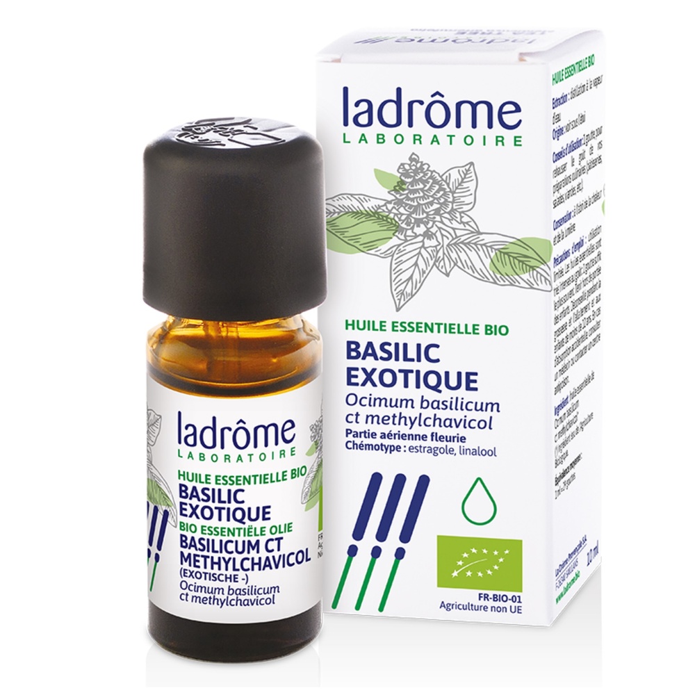 ladrome basilic exotique à méthylchavicol HUILE ESSENTIELLE