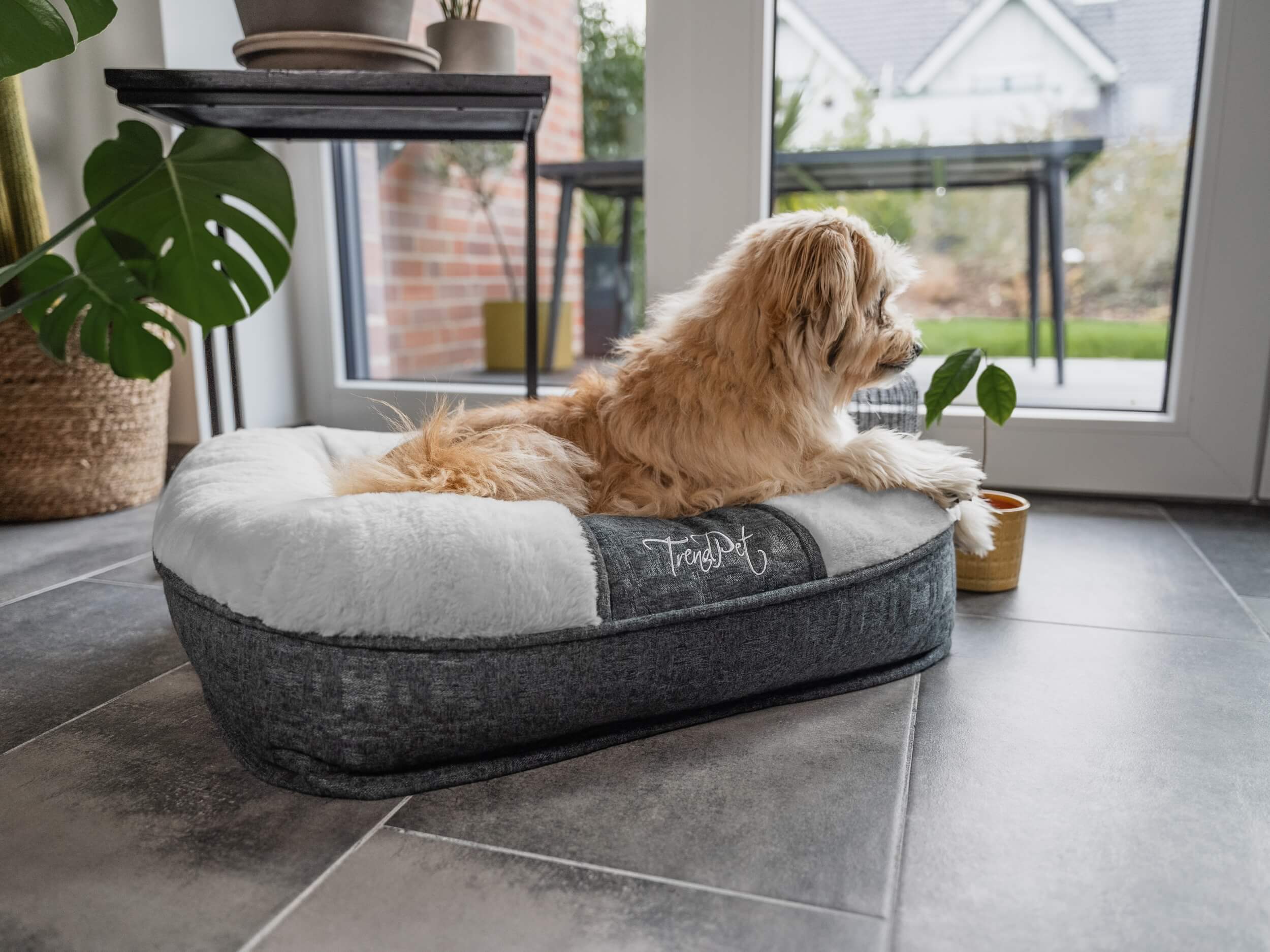 TrendPet Hundebetten TrendPet LunaLounge Hundebett grau S