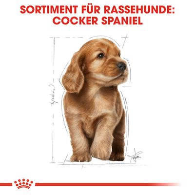Royal Canin Cocker Puppy