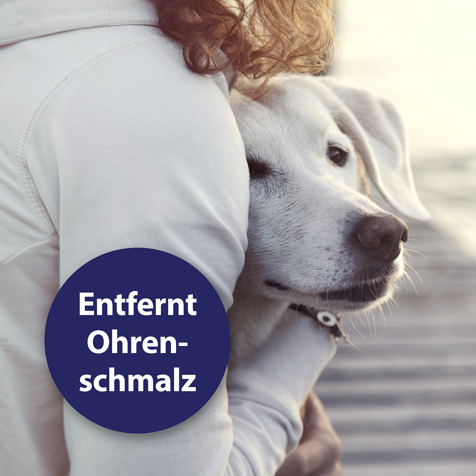 Canosept Augen- & Ohrenpflege Canosept Ohrpflege Finger-Pads für Hunde 50 Stück