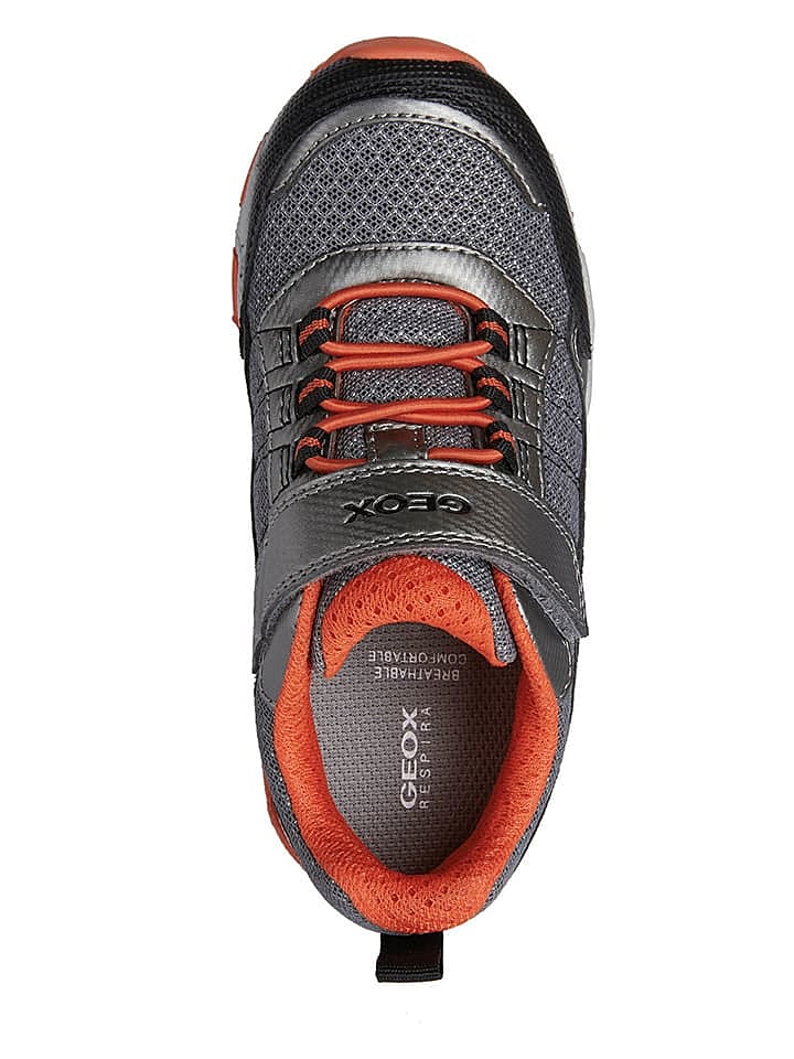 Geox Sneakers 