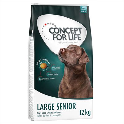 Sparpaket Concept for Life 2 x Großgebinde