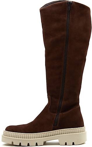 COX Plateau-Stiefel