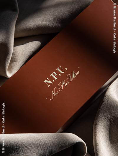 Bruno Paillard : N.P.U. 