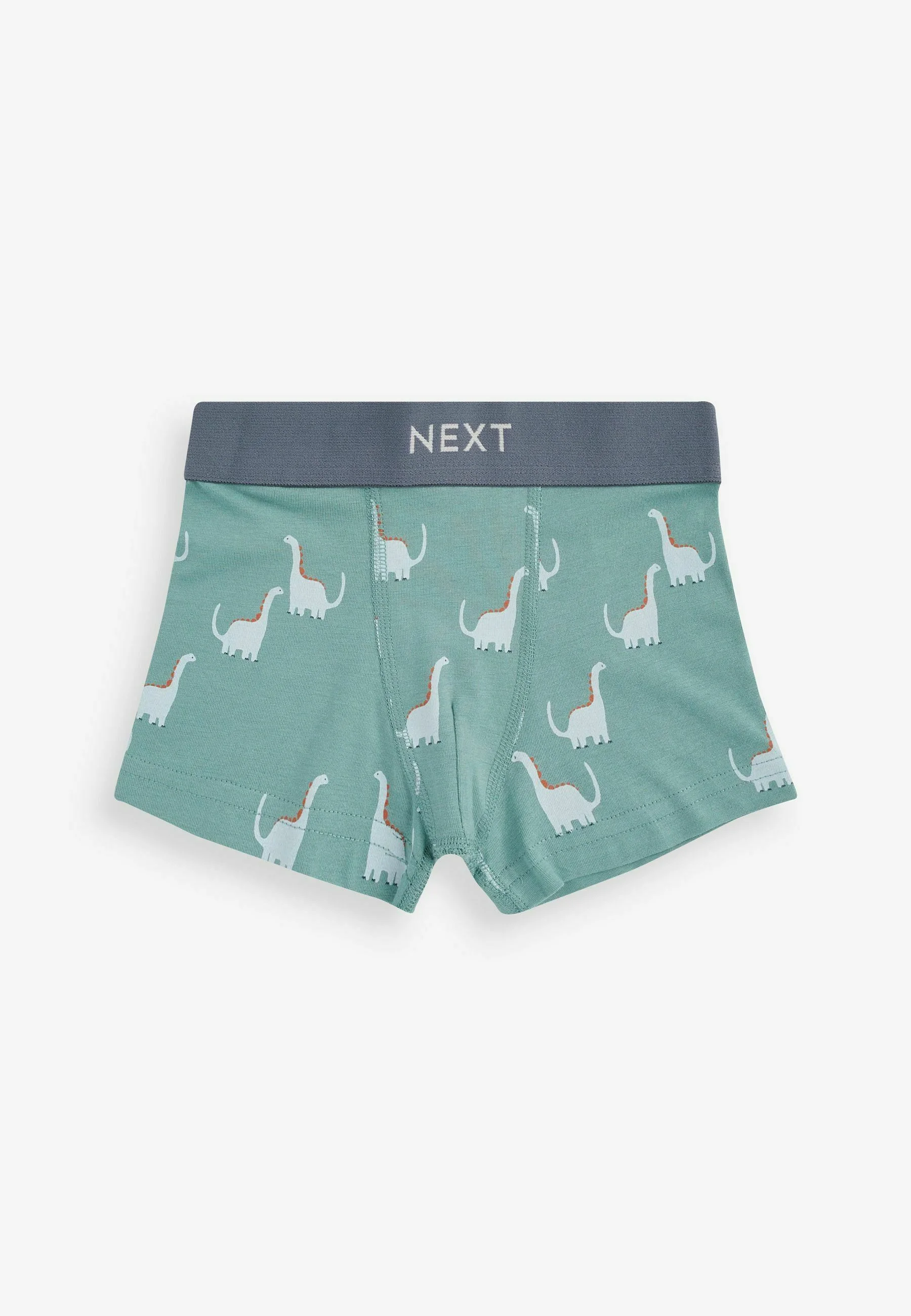 Siguiente 10 PAQUETE ESTÁNDAR - Culotte
