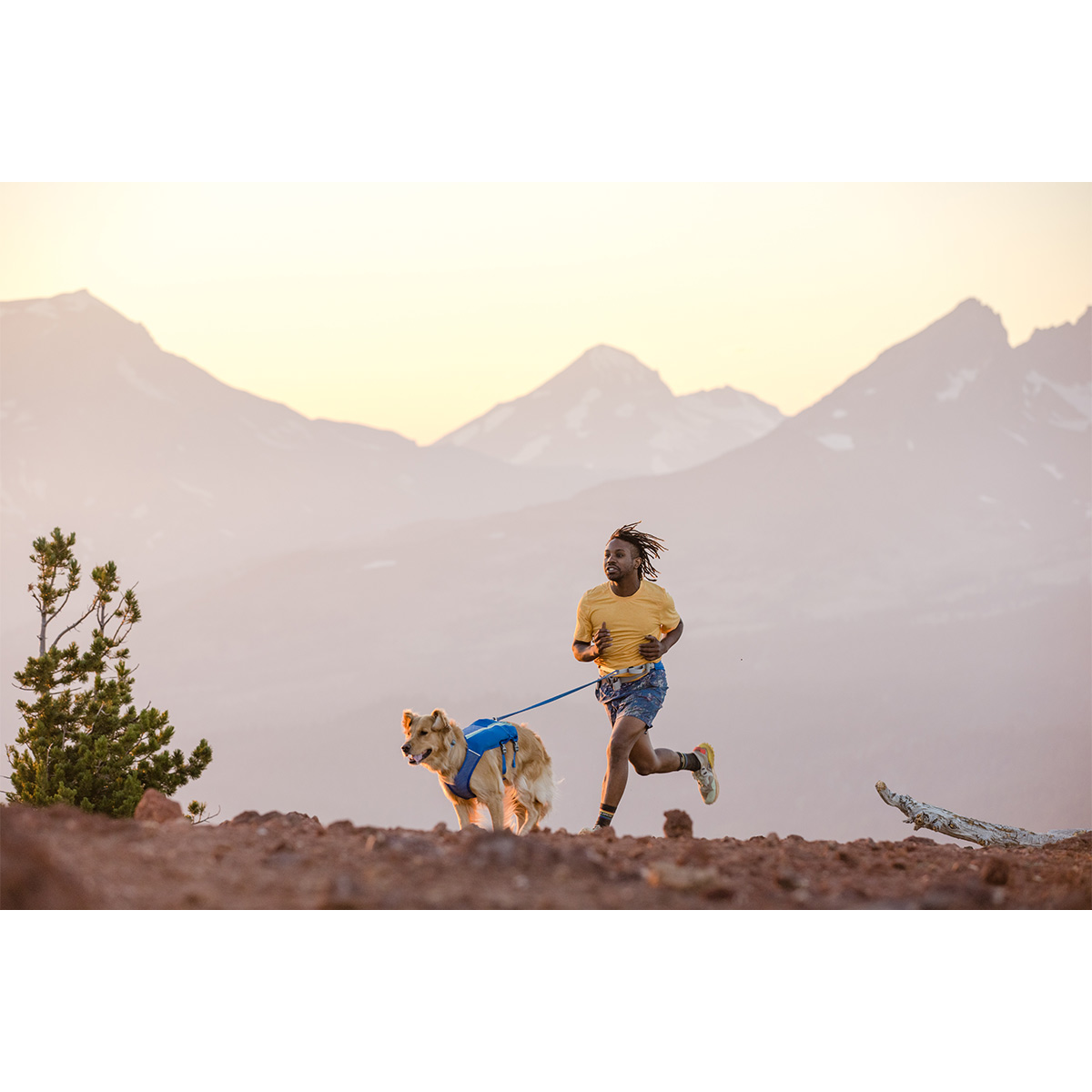 Ruffwear Trail Runner Leine günstig kaufen bei ZooRoyal