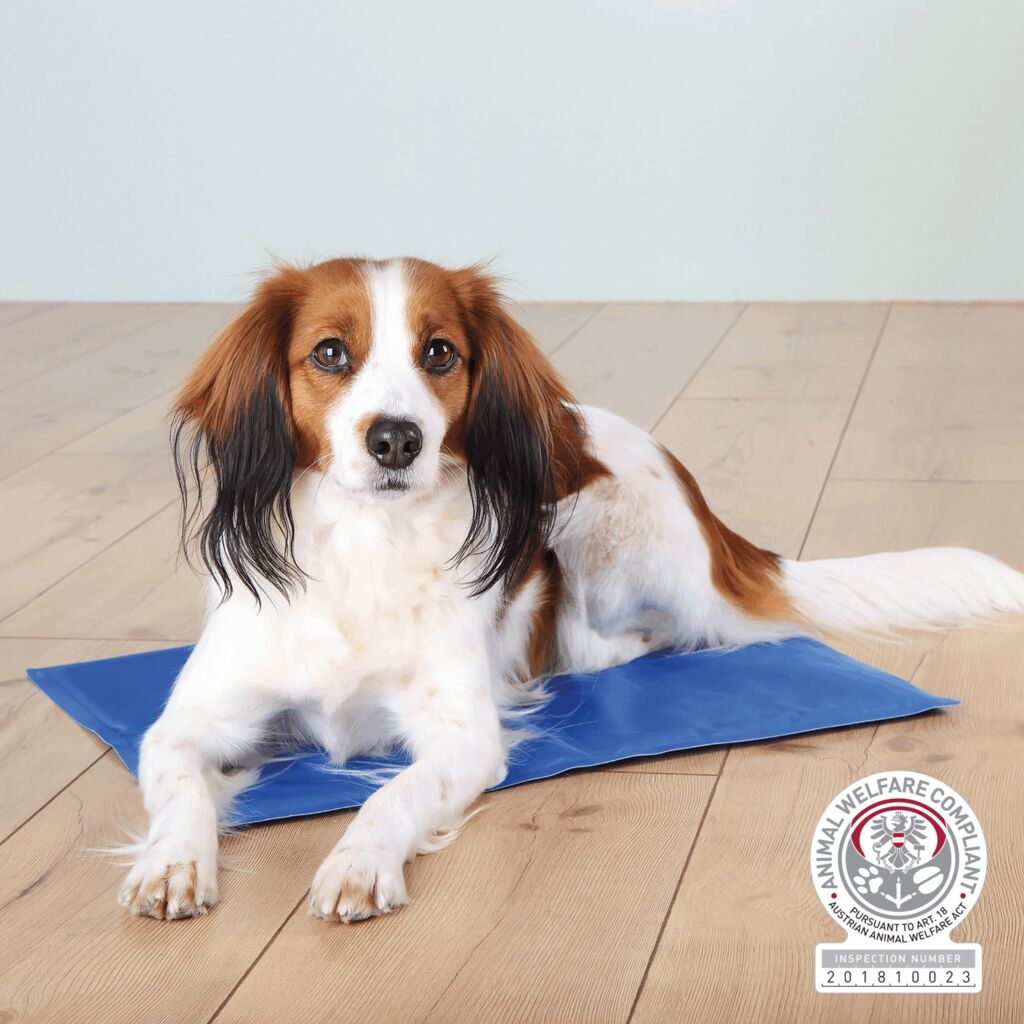 Trixie Hundematten Trixie Kühlmatte 60 cm, 60 cm, 2 cm