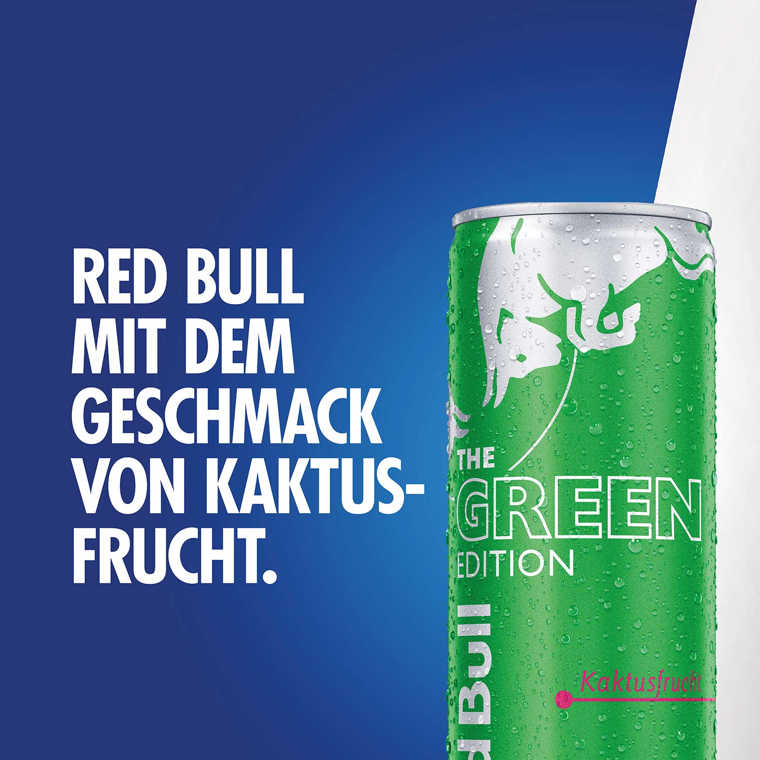 Red Bull The Green Edition Kaktusfrucht 250ml
