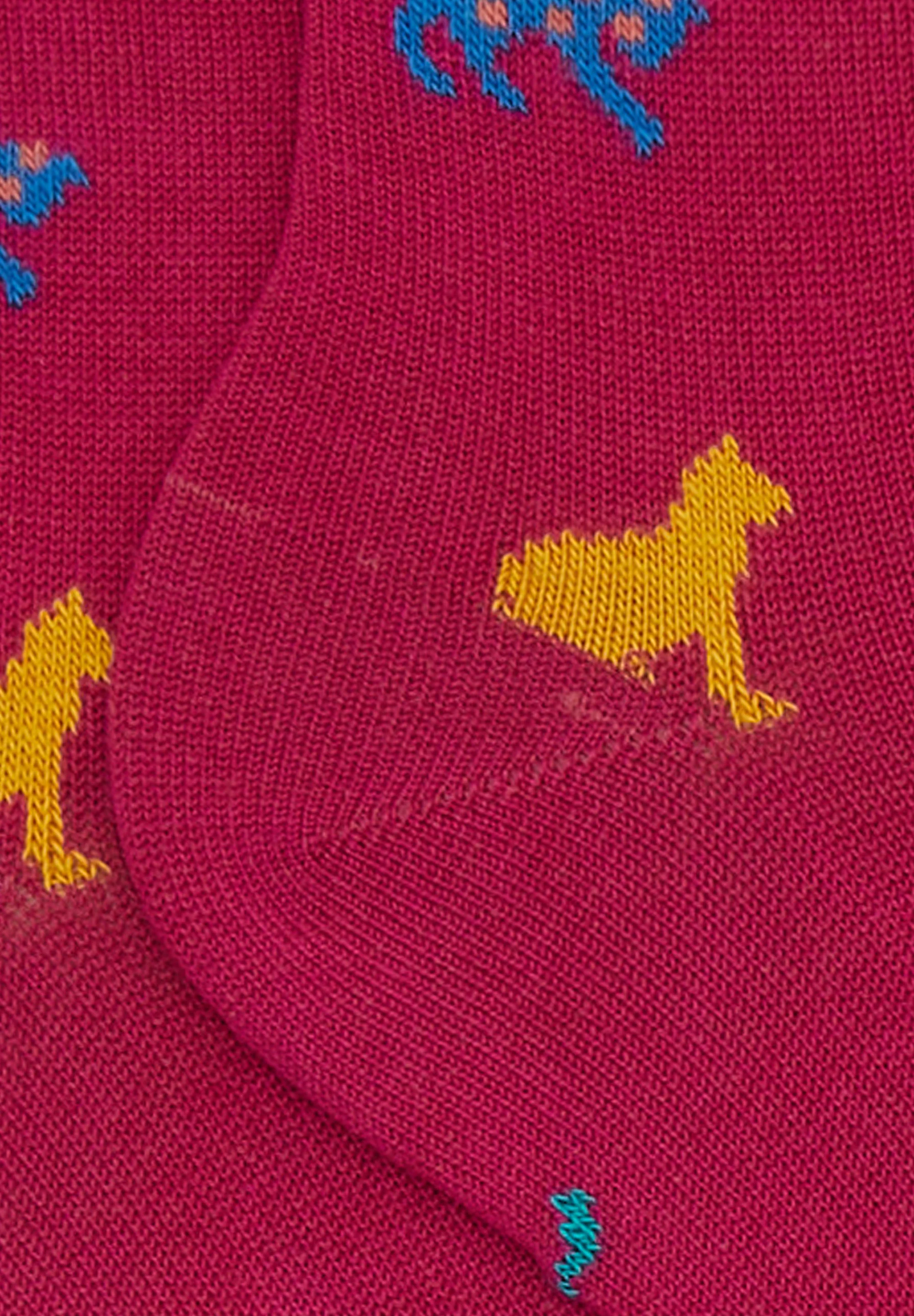 Gallo CON MOTIVO DE GATO - Calcetines