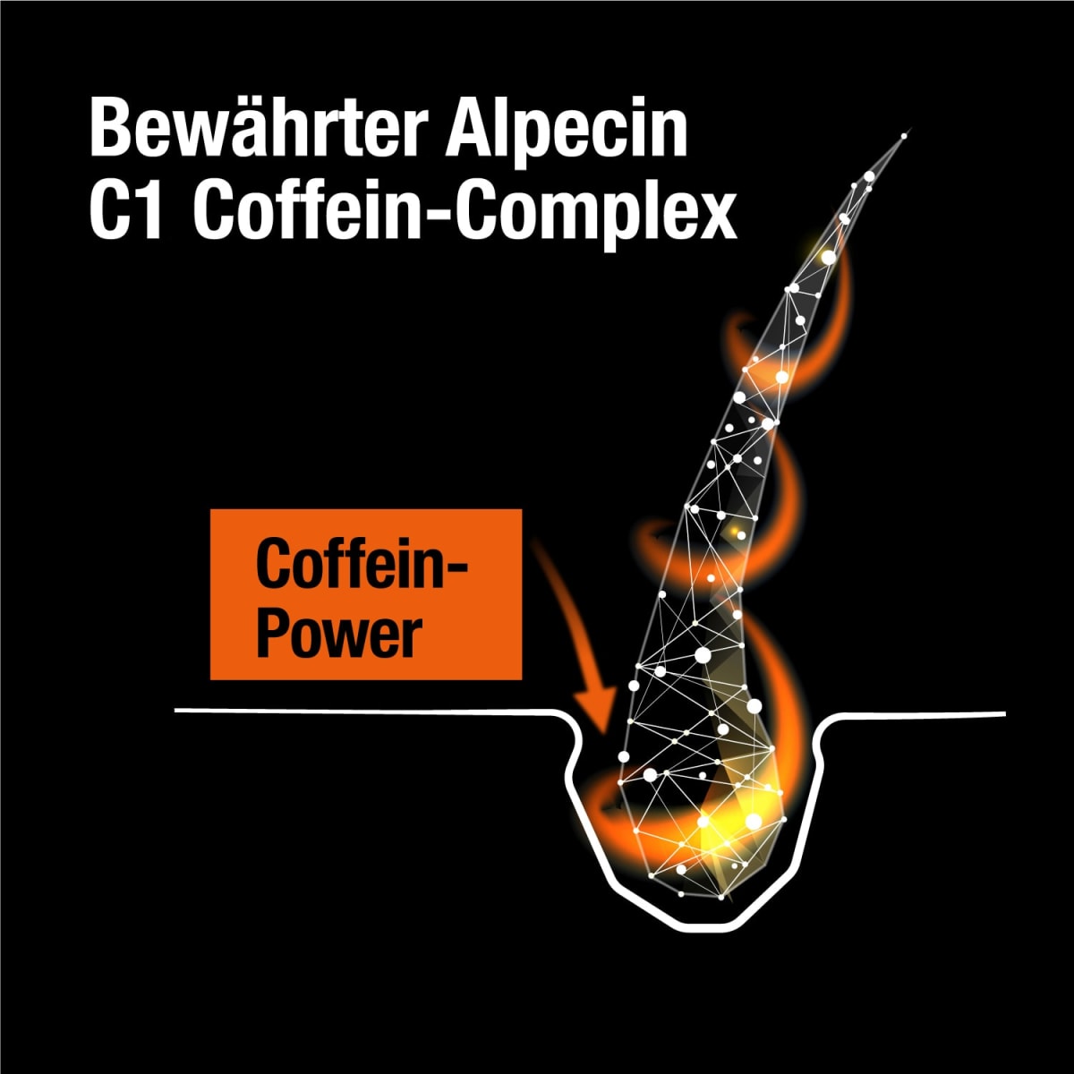 Shampoo Coffein C1 Black Edition, 250 ml