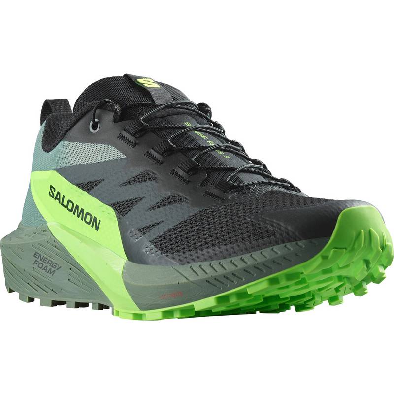 Salomon SENSE RIDE 5 Laufschuhe Herren