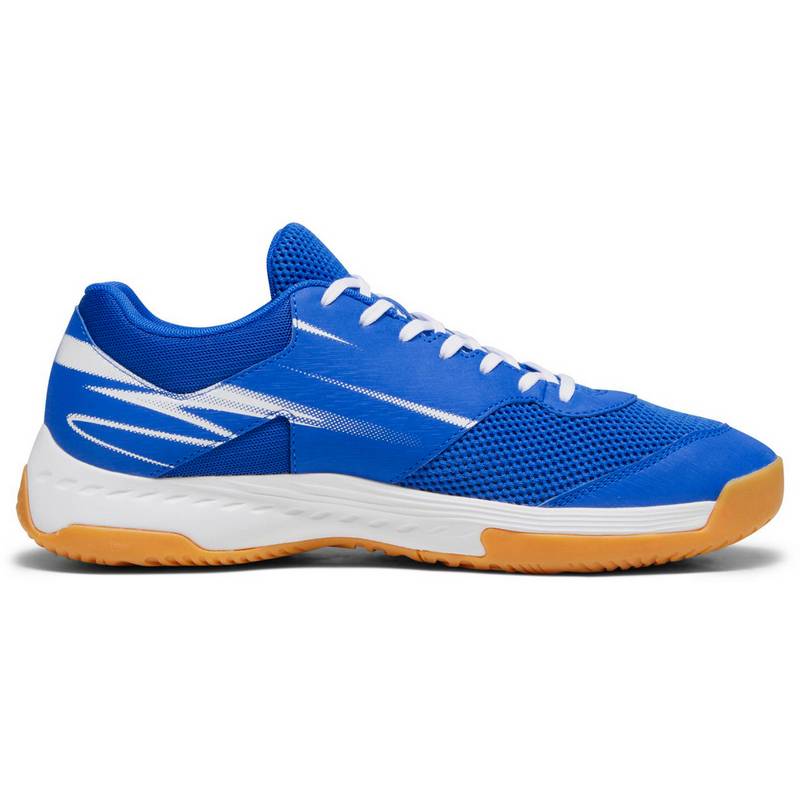 PUMA Varion II Hallenschuhe Herren