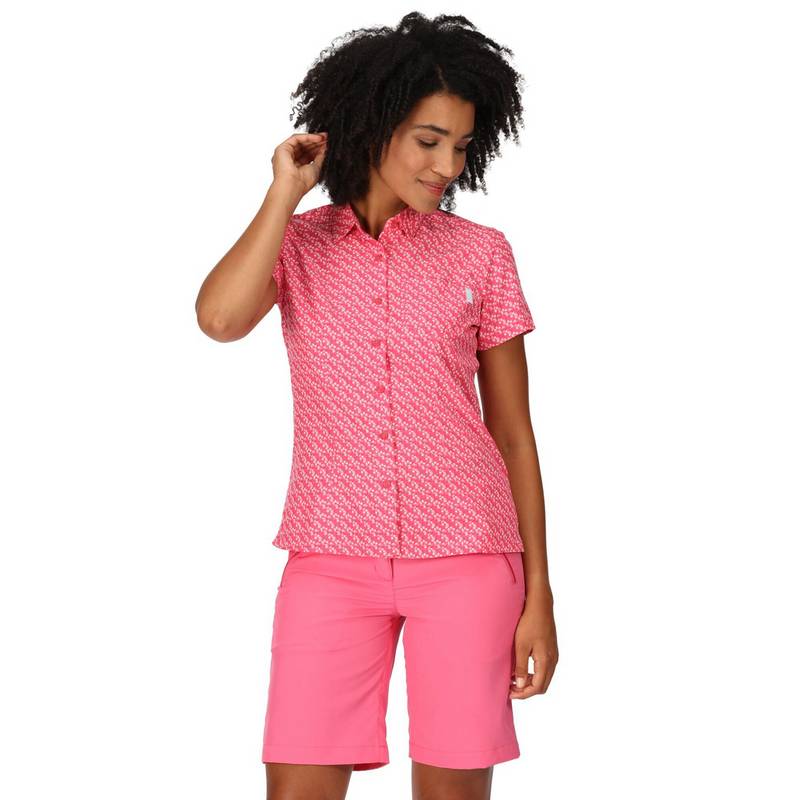 Regatta Mindano VII Funktionsbluse Damen