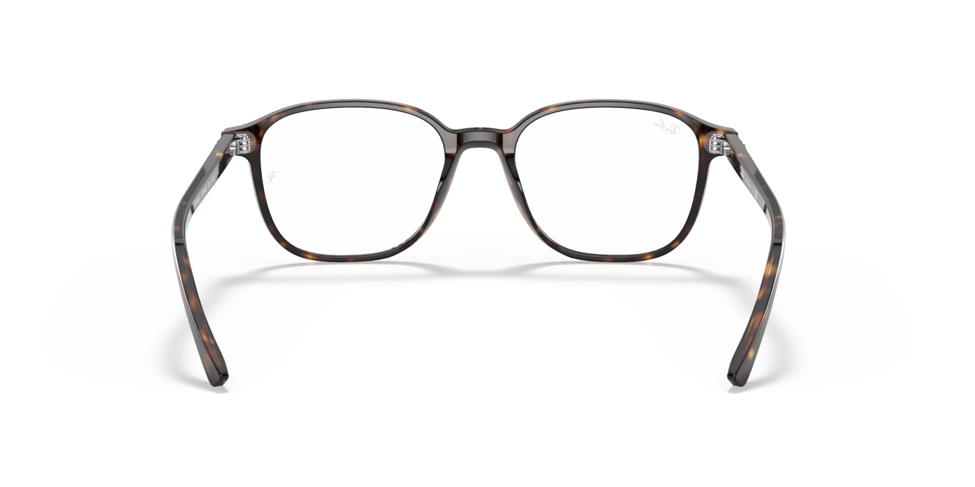 LEONARD OPTICS - Lucido Havana
