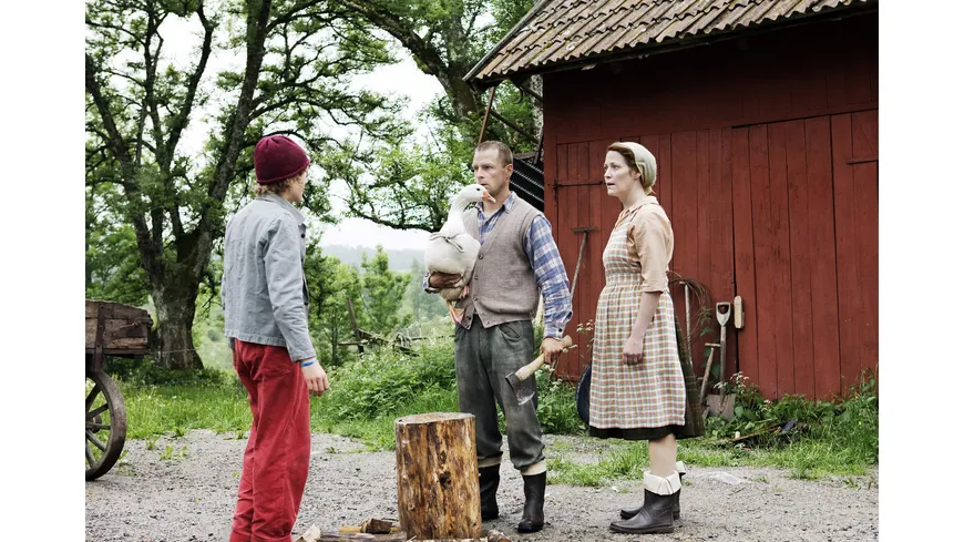 Nils Holgerssons wunderbare Reise - Die vierteilige Miniserie (Fernsehjuwelen)  [3 DVDs]