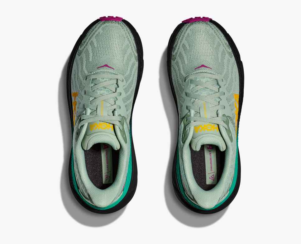 Challenger 7 Aloe Vera / Black