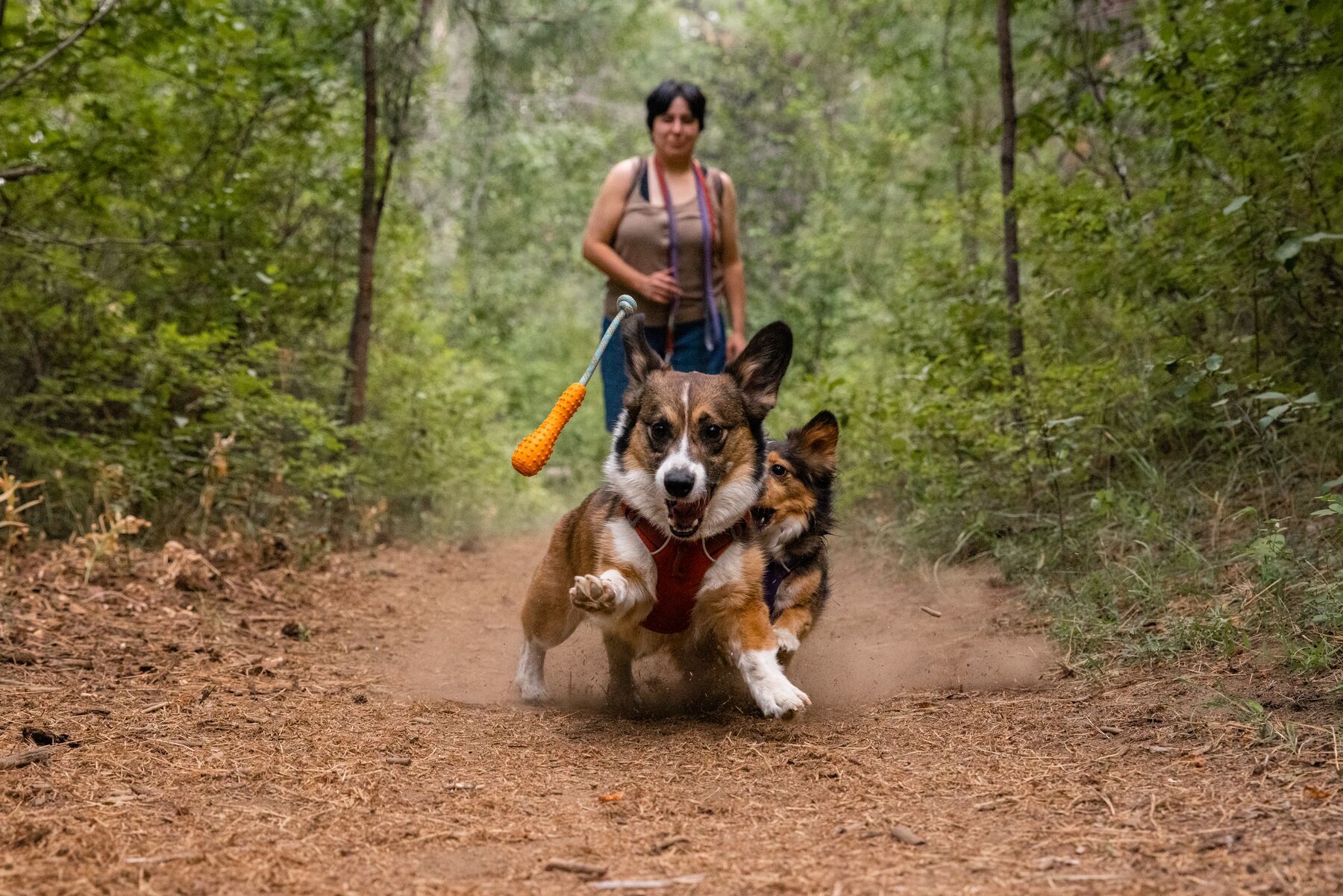 Ruffwear Frisbees & Wurfspielzeug Ruffwear Gourdo™ Spielzeug L orange