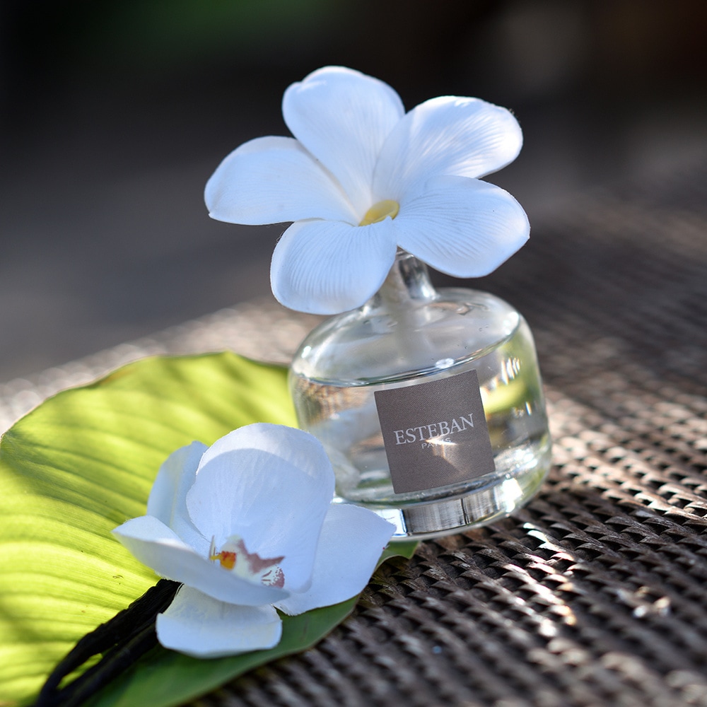 esteban Monoi Soleil Fleur à parfum