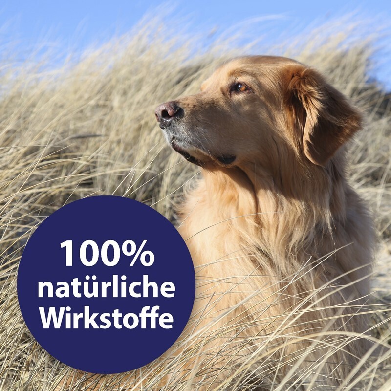 Canosept Fellpflege Canosept Hautpflege Spray für Hunde 250 ml