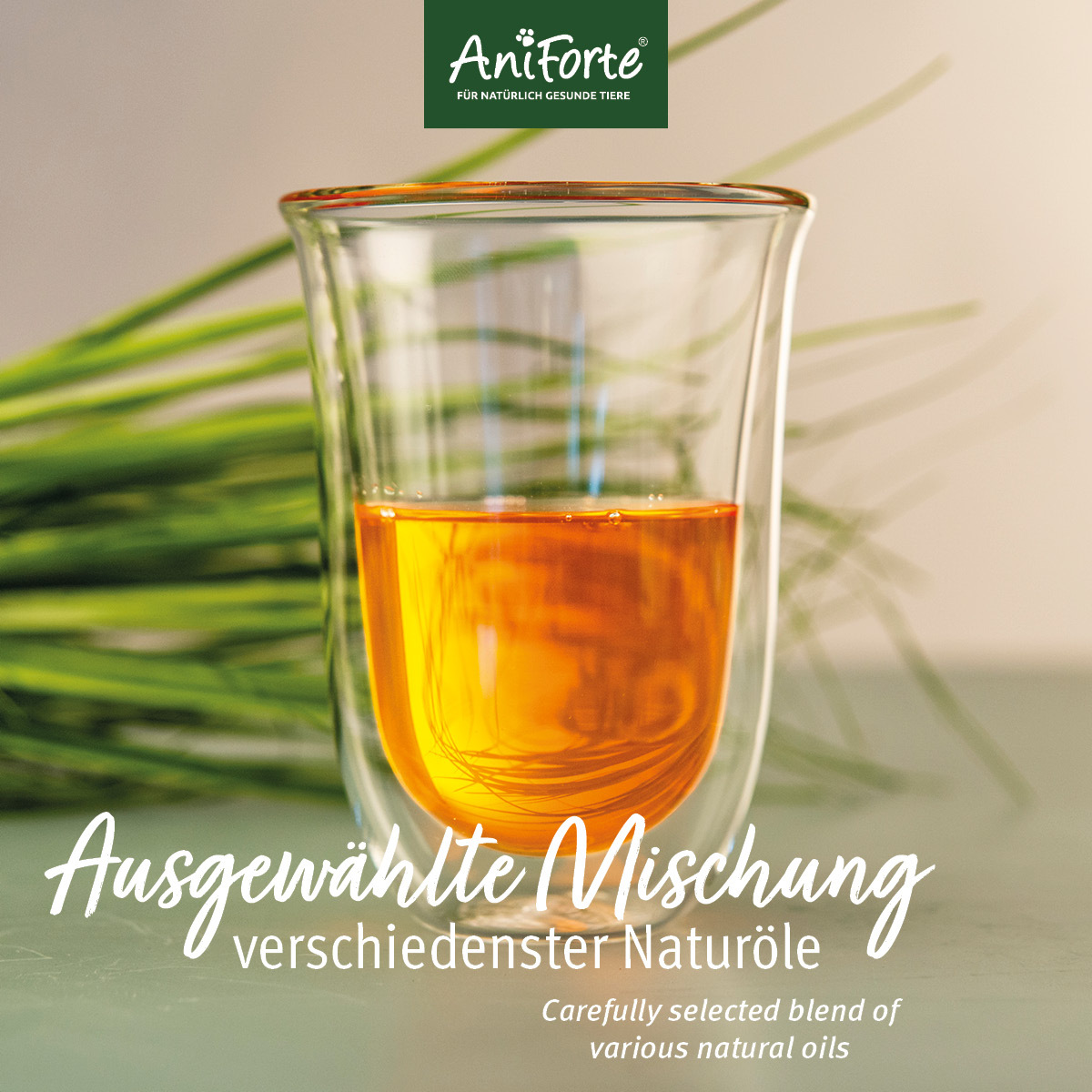 Aniforte Ergänzungsfutter & Aufzucht Aniforte Futteröl Premium BARF-Line 500ml