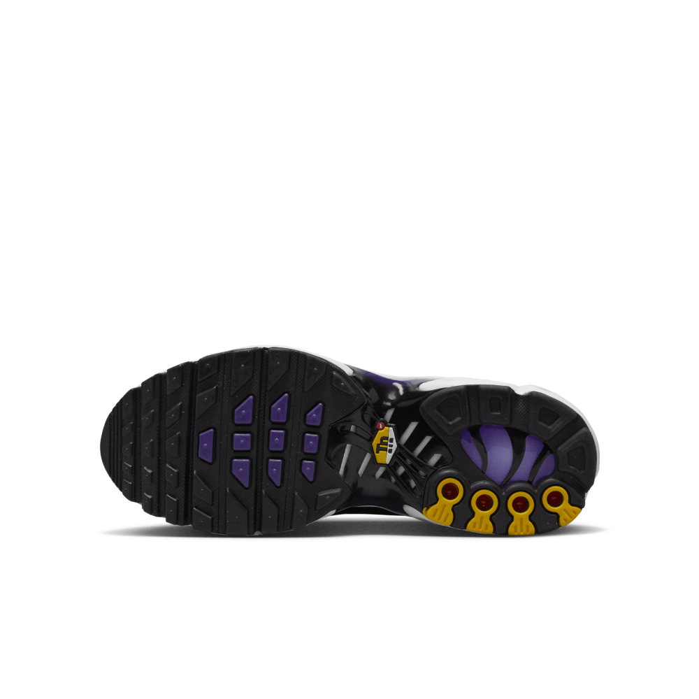 Nike Air Max Plus GS Voltage Purple CD0609-024 / lila