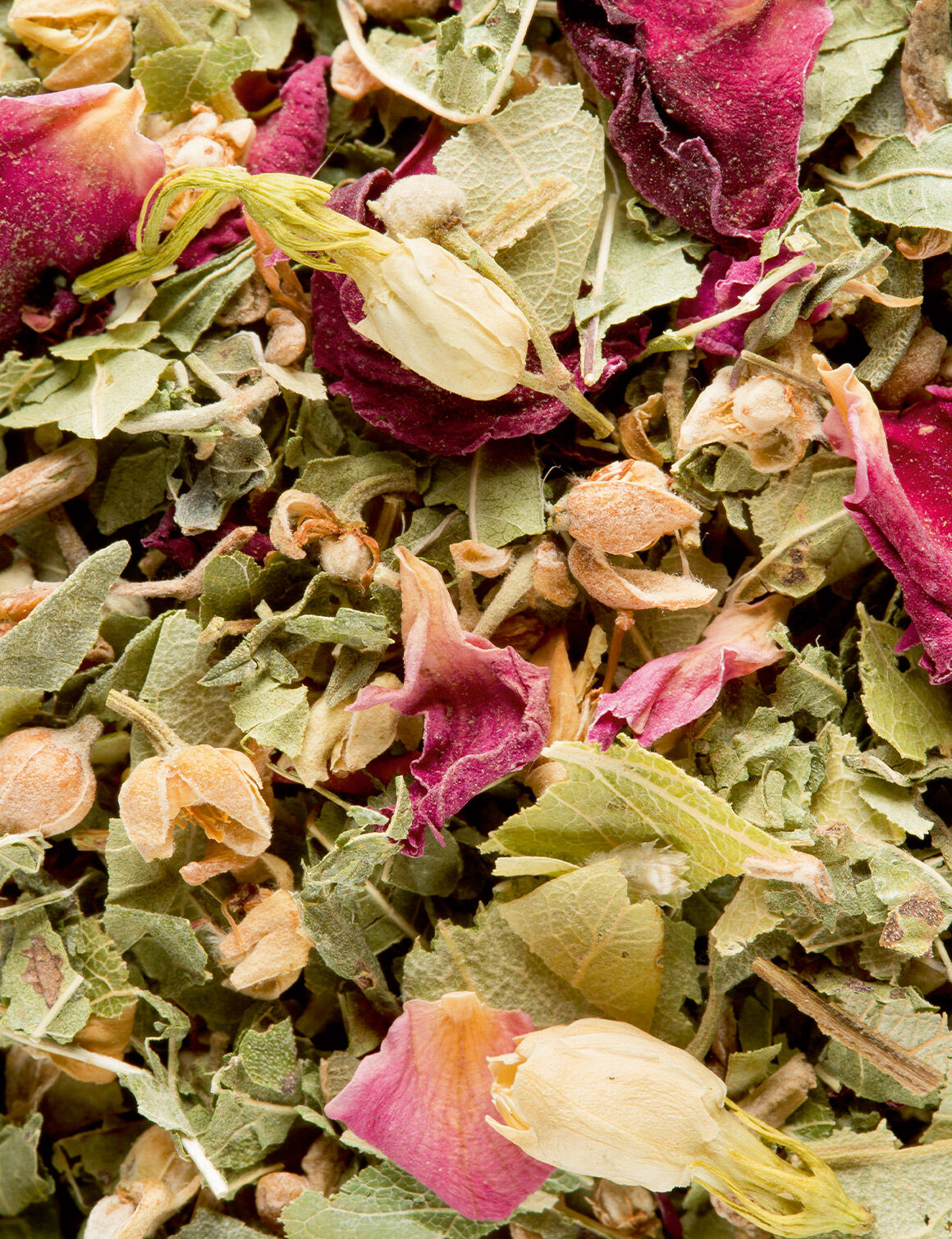 Tisane Bali-25 sachets