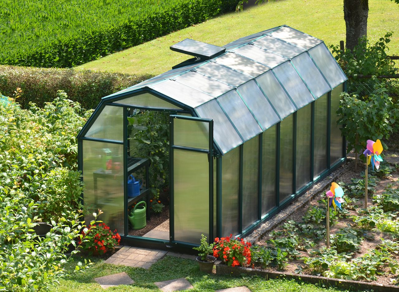 Canopia by Palram Gewächshaus Eco Grow  445 x 204cm Grün