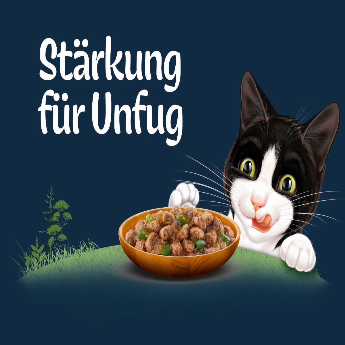 FELIX Naturally Delicious Vielfalt vom Land 80x80g bei ZooRoyal