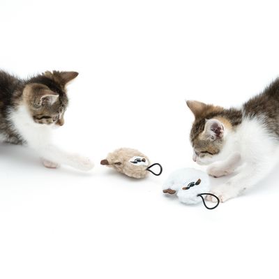 TIAKI Katzenspielzeug-Set Faultiere mit Katzenminze