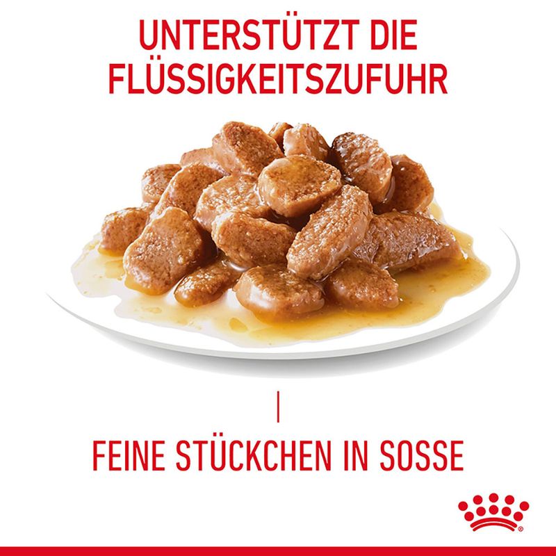 Royal Canin Appetite Control Care in Soße zu TOP-Preisen | bitiba
