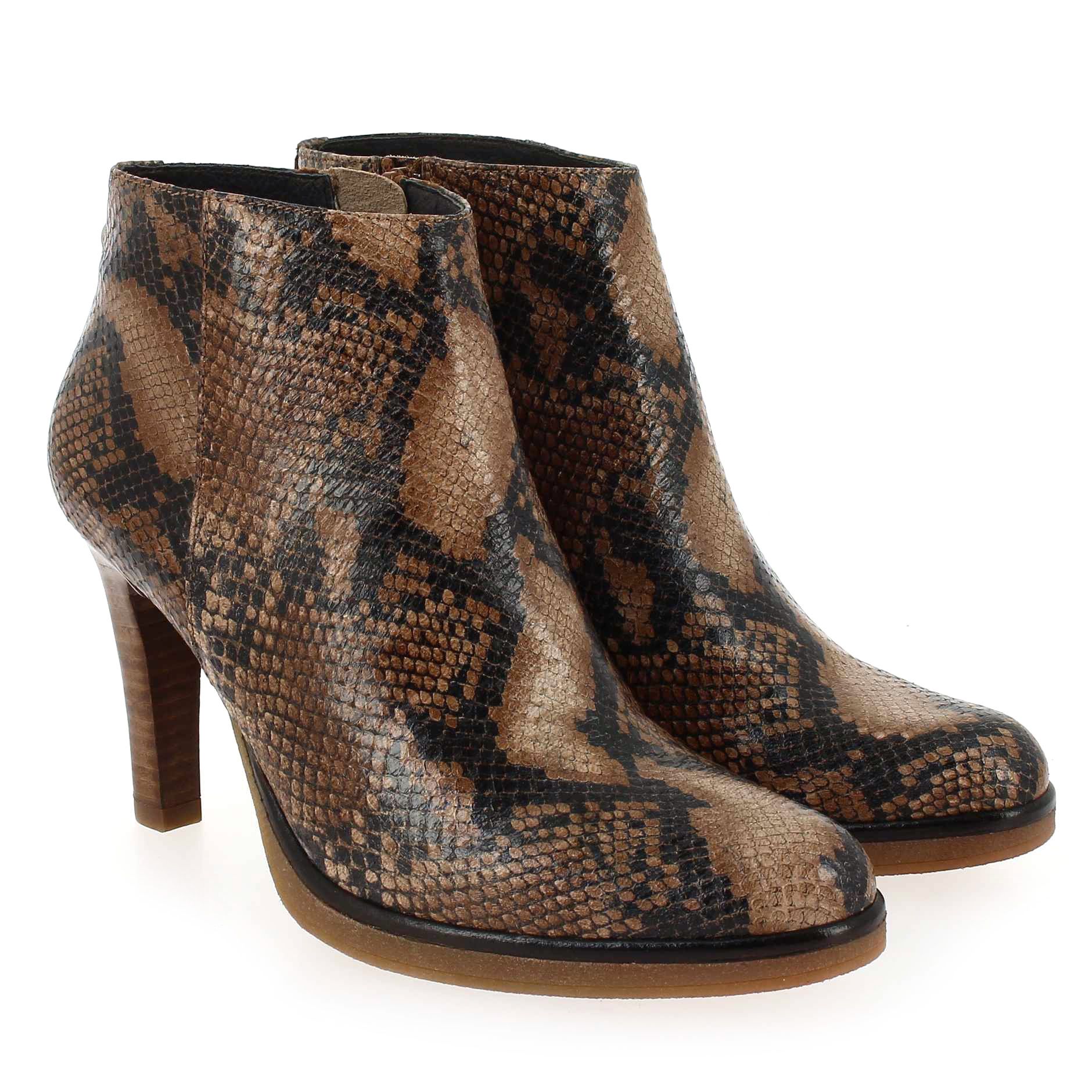 Janie Philip  MAX - Camel Python