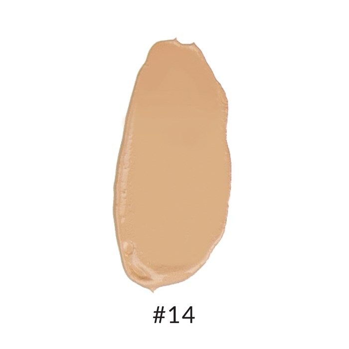 Anne T. Dote Tinted Moisturizer