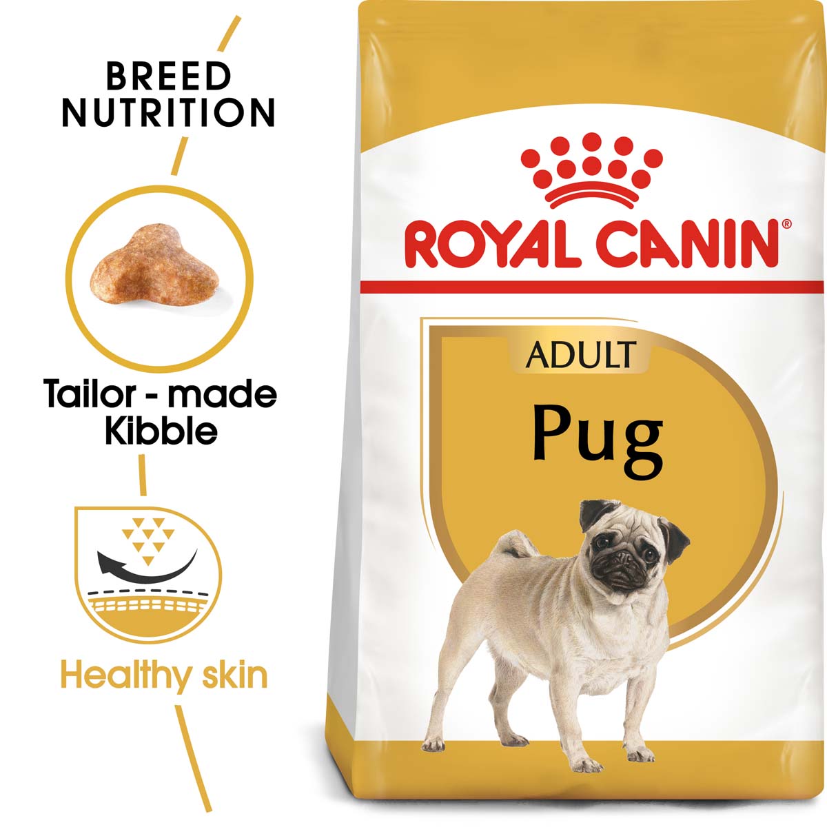 ROYAL CANIN Pug Adult Hundefutter trocken für Mops bei ZooRoyal
