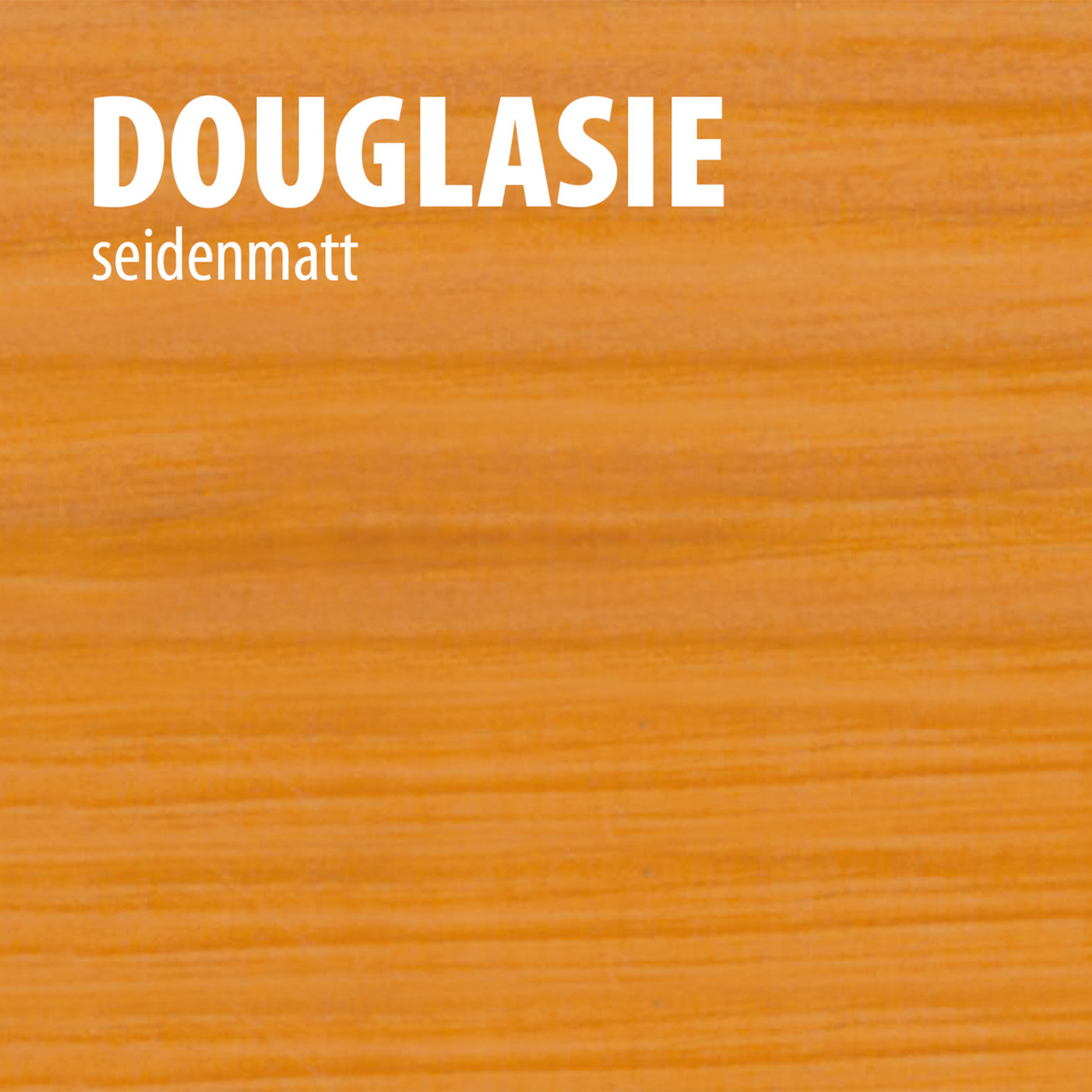 Baufix Gartenholz-Pflegeöl douglasie, seidenmatt, 1 Liter