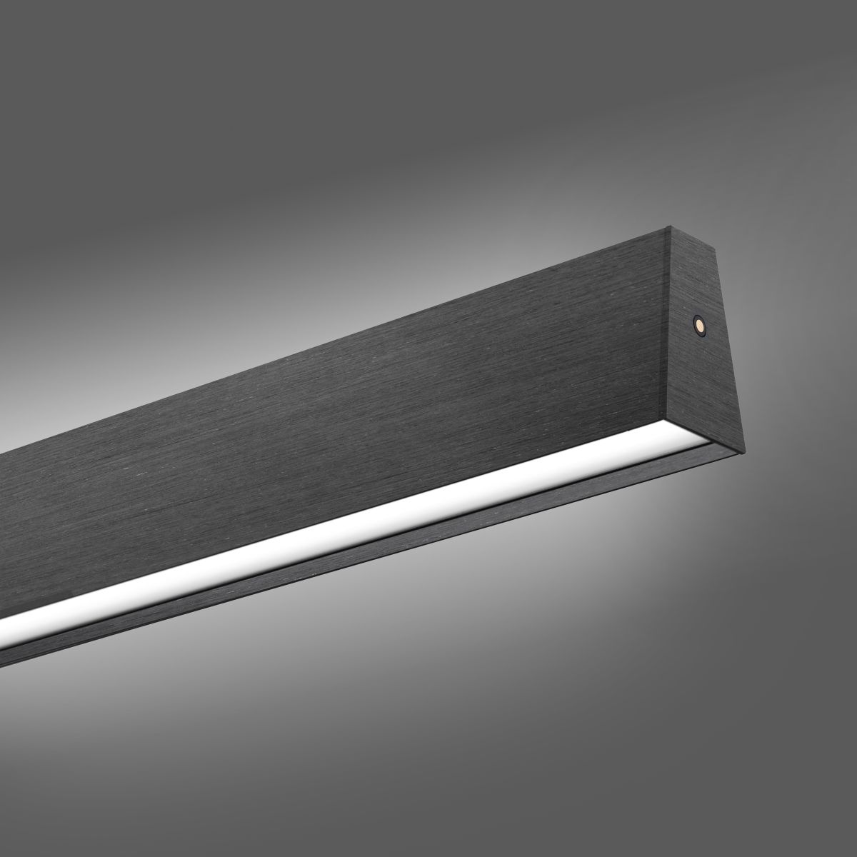 Neuhaus Pendelleuchte Pure E-Motion