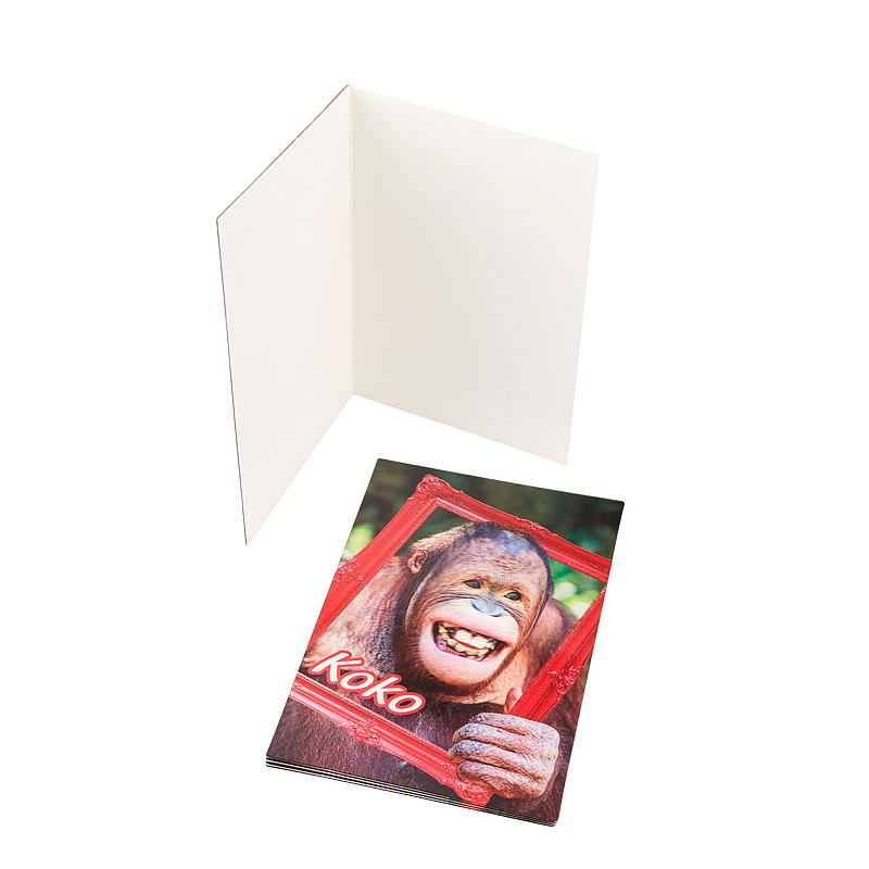 Kort 3D koko ape