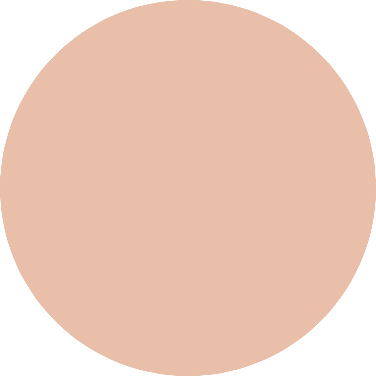 BB Creme Perfect Cover 21 Light Beige LSF 42, 50 ml