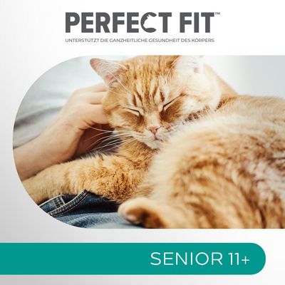 Perfect Fit Senior 11+ reich an Huhn