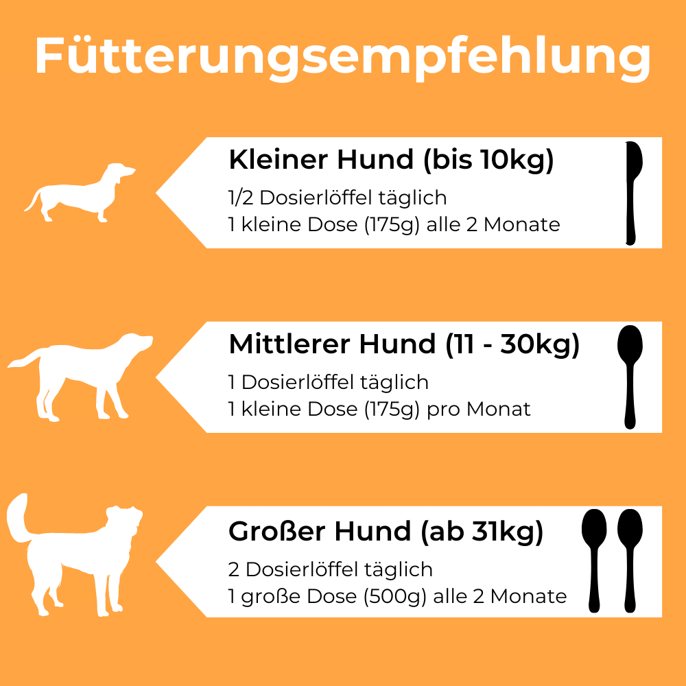 Dog-Native Ergänzungsfutter & Aufzucht Dog-Native GelenkFit Pulver für Hunde, natürliches Gelenkpulver mit Grünlippmuschel, MSM, Kollagen-Hydrolysat und Chondroitin für Gelenke, 500 g