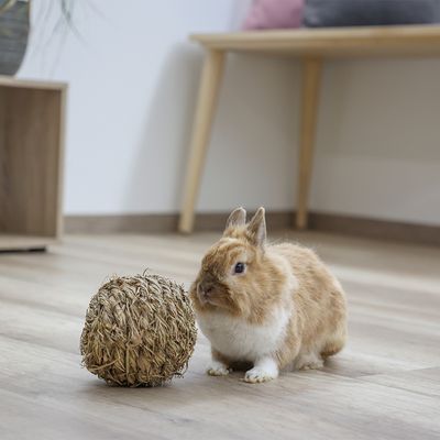 Kerbl Pet Grasball
