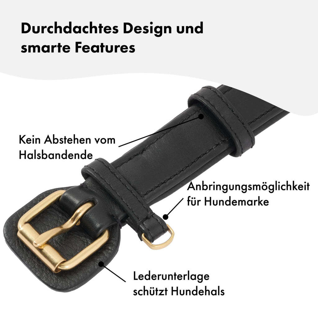 William Walker Hundehalsbänder William Walker Hundehalsband Plain Noir XXL