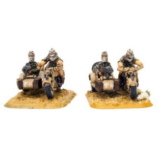 BMW & sidecar x4 (GE401)