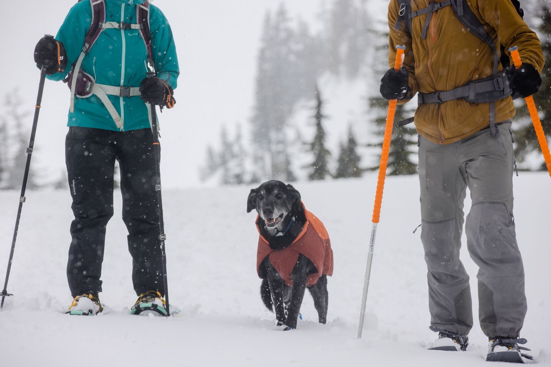 Ruffwear Hundemäntel Ruffwear Vert™ Hundejacke orange S