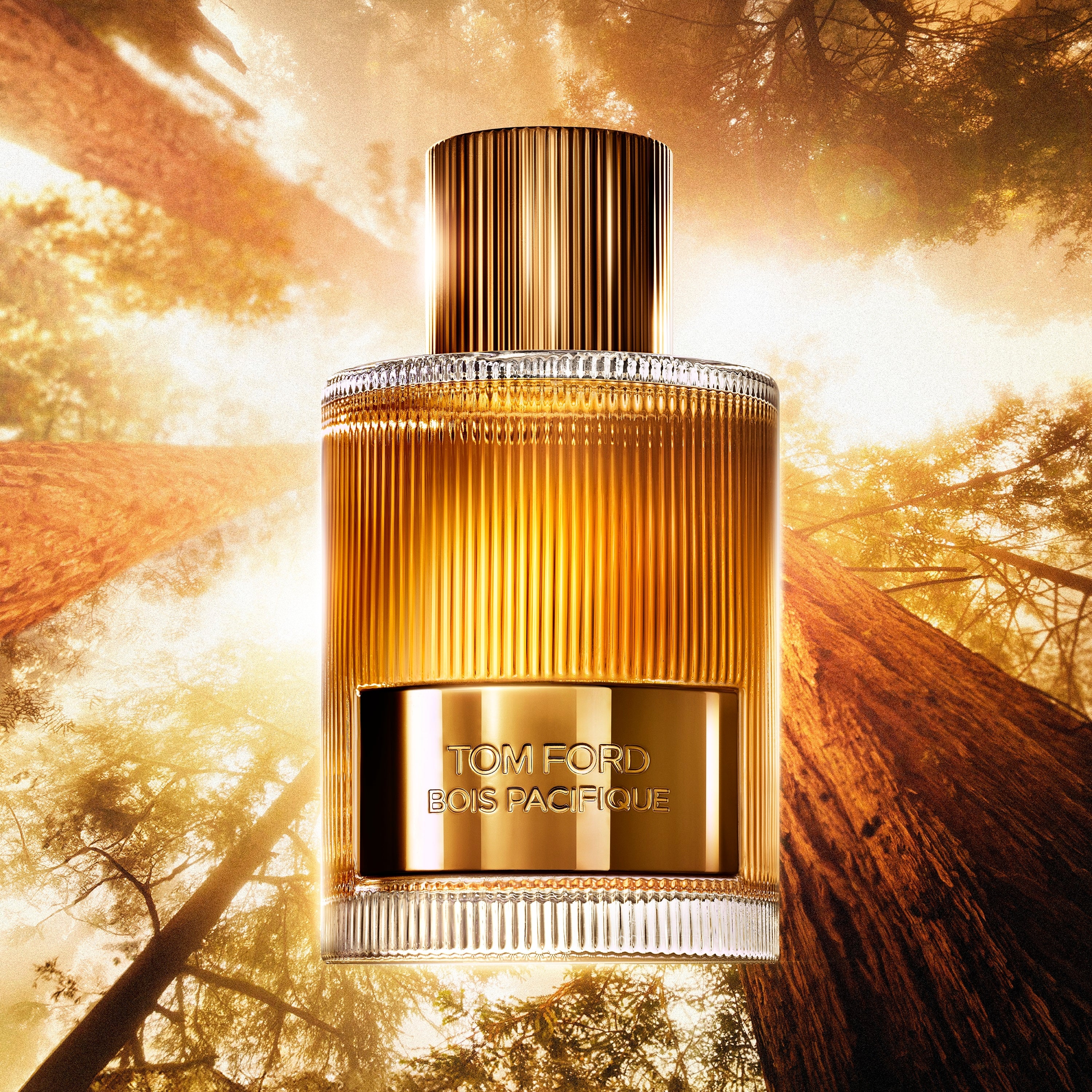 Signature Bois Pacifique - Eau de Parfum