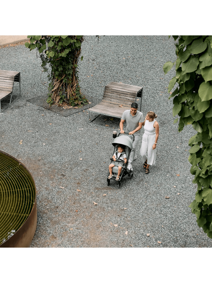 ABC-Design ABC Design Ping 3 Travel Buggy - Farbe: Pine günstig kaufen onesize