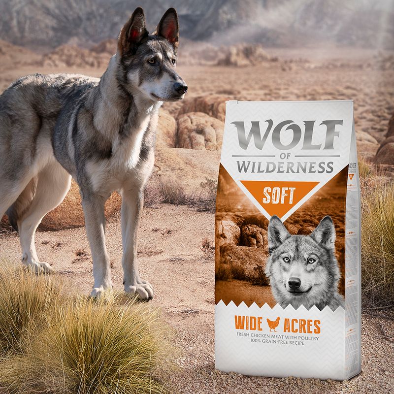 Wolf of Wilderness 'Soft - Wide Acres' - Huhn