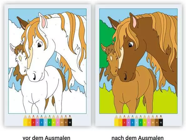 CreArt Malen nach Zahlen ab 5: Pferde